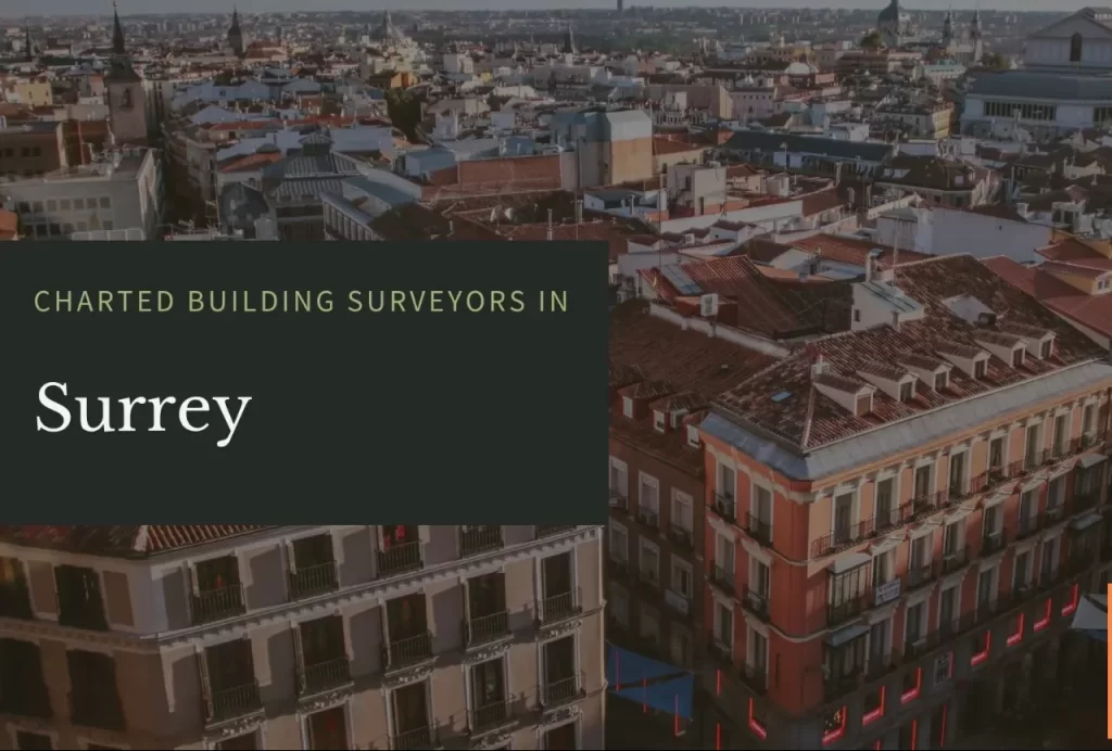 Surrey-Surveyors